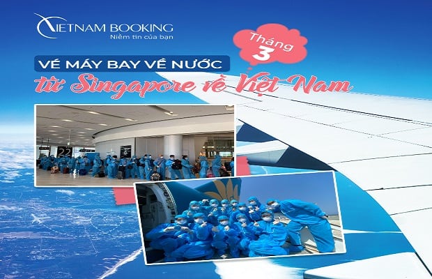 thông tin chuyến bay charter từ Singapore về Việt Nam